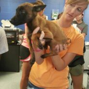 Stray Puppy with Crooked Leg Rescued, Doesn’t Let That Leg Get in Her Way