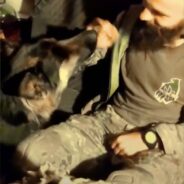 Ukrainian Soldiers Make Tough Decision In Order To Protect Beloved Stray Dog Who Took Shelter Alongside Them