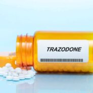 What You Should Know About Trazodone for Dogs