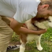 Blind And Deaf Rescue Husky Chases Owner Around The Yard