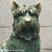 Dog Monuments Around The World Are Turning Gold From People Petting Them