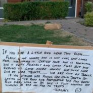 Dog Owner Posts Hilarious Sign About Dramatic Dog And It Is All Too Relatable