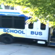 Dogs Can’t Contain Their Excitement When The ‘Doggie School Bus’ Pulls Up