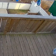 Home Security Camera Captures Dog Stealing Package From The Porch