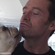 Hugh Jackman Mourns The Loss Of Beloved Dog, Dali