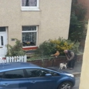 Man Stops Walk To Introduce His Puppy To A Cat