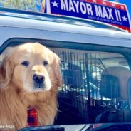 Mayor Max Passes Away Suddenly Leaving All Who Knew Him Heartbroken