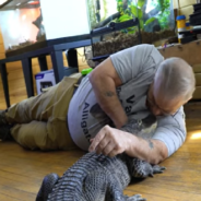 Meet Wally, An Emotional Support Alligator Running For America’s Favorite Pet