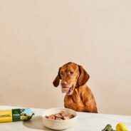 Nature’s Fresh: Sustainable Food for Healthy Pets and Planet
