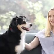 New Dog Collars Use AI To ‘Translate’ Barks Into Emotions