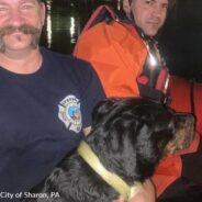 Pennsylvania Firefighters Rescue Dog From River Late At Night