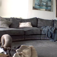 Puppy Caught Red-Handed Ripping Up Bed On Family’s Security Camera