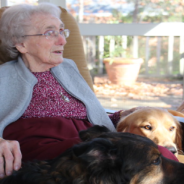 Rescue Helps Keep Dogs And Their Elderly Owners Together