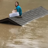 Teenager Makes A Boat From A Couch Cushion And Saves Her Dog From A Flood