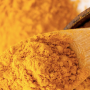 Turmeric — a supplement worth considering for your dog