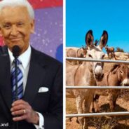 TV Legend Bob Barker Helps Wild Burros In Southern California