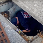 Woman Crawls Through 300 Feet Of Filth To Reach Crying Kitten Stuck In Sewer Drain