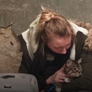 Woman Travels The World With Her Cat After Escaping The War In Ukraine