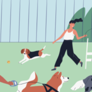 Your hands-on guide for going to the dog park