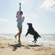 11 Top Dog-Friendly Beaches