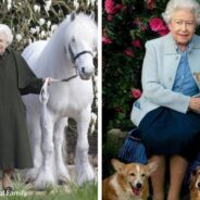 All About Queen Elizabeth II’s First Loves – Horses & Corgis