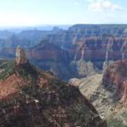 Arizona’s Grand Canyon Bison Being Relocated to Tribal Lands