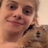 Meet Doug, The Domesticated Prairie Dog That Travels Around The US