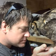 Owl Welcomes Her Rescuer with a Long Hug. Watch the Heartfelt Reunion!