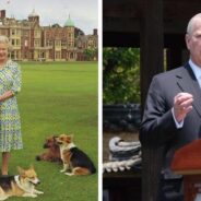 Queen Elizabeth’s Beloved Corgis Will Live With The Duke and Duchess of York