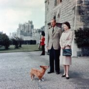 Royal Corgis: A look at Queen Elizabeth’s beloved dog breed