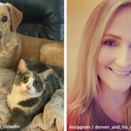 See How Instagram Dog Denver Enjoys Living With 20 Cats And A New Puppy Sister