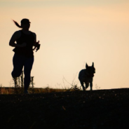 Study Finds Dogs With More Active Owners Get More Exercise Than Dogs With Sedentary Owners