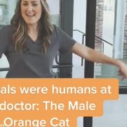 Veterinarian Goes Viral For Videos Of “If Animals Were Humans At The Doctor”