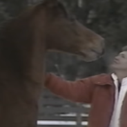 Woman Gives New Hope To A Horse At The End Of His Rope