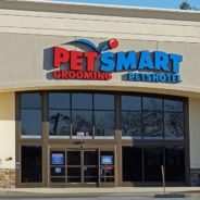 Woman Issues Warning After Dog Dies In PetSmart Grooming