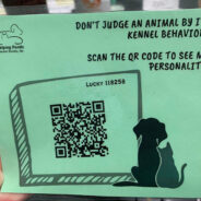 10 Ways Shelters and Rescues Can Use QR Codes Today