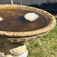 Annoyed Homeowner Leaves Note For Person Leaving Bread In His Birdbath And Catches The Culprit Red-Handed