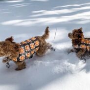 Boot Scootin’ Dog Sweaters Handmade with Love