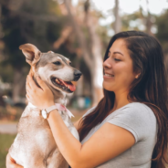 CBD and Canine Anxiety