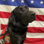 Cruz the Therapy Dog Becomes an Official Member of the Salinas Fire Department