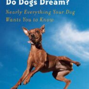 Do Dogs Dream and What You Need to Know About Sleeping Dogs