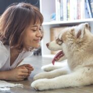 Do You and Your Dog Share the Same Personality? Research Says it’s Likely You Do!