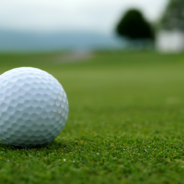 Dog Wanders Golf Courses And Collects Over 6,000 Golf Balls For Charity