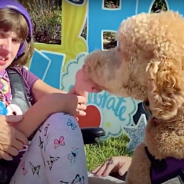 Family Has Peace Of Mind After Daughter Is Gifted Service Dog Who Alerts To Her Seizures