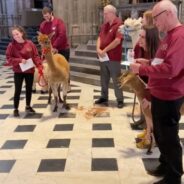 Goat Sings its Heart Out in Viral Video From Animal Blessing Event