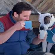 Man Shares The Beauty of Fall With His Rescue Pit Bull In Oregon