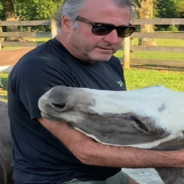 Man Sings “Amazing Grace” To Help Rescue Donkeys Relax