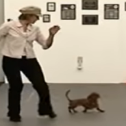 Mini-Dachshund Performs “Freestyle” Dance Performance With Mom