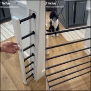 See How One TikToker Came Up with an Ingenious Disappearing Dog Gate