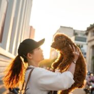 The Purple Leash Project Helps Victims of Domestic Violence and Their Pets Stay Together